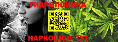 индика Апшеронск