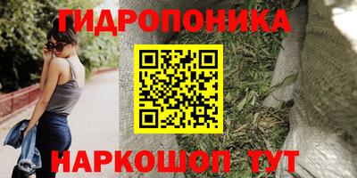 a pvp Апрелевка