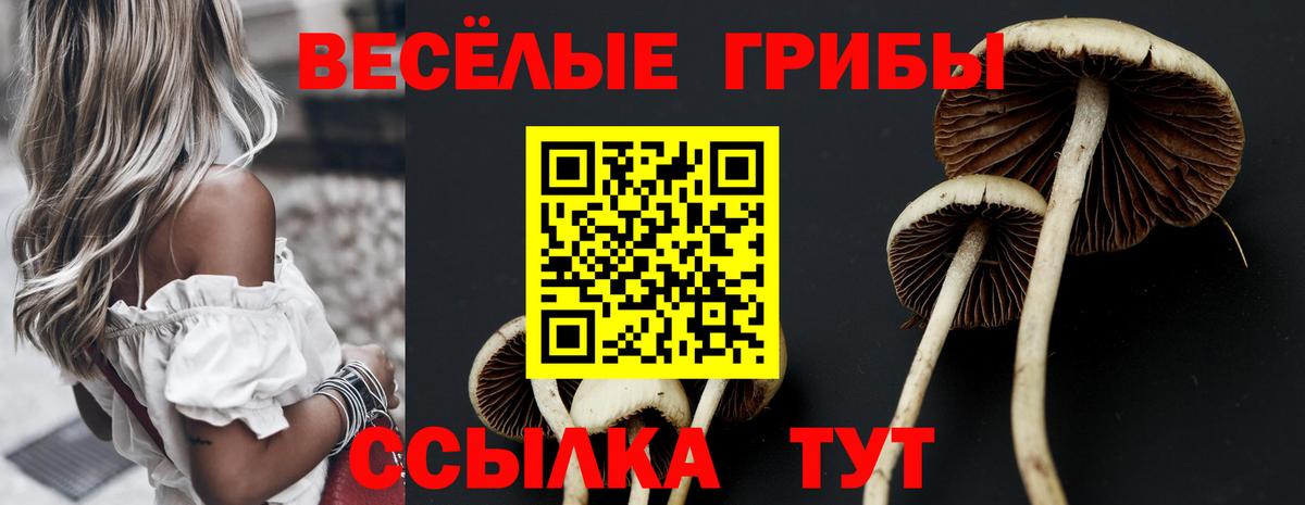 Псилоцибиновые грибы Magic Shrooms  Вход с VPN  Бердск 
